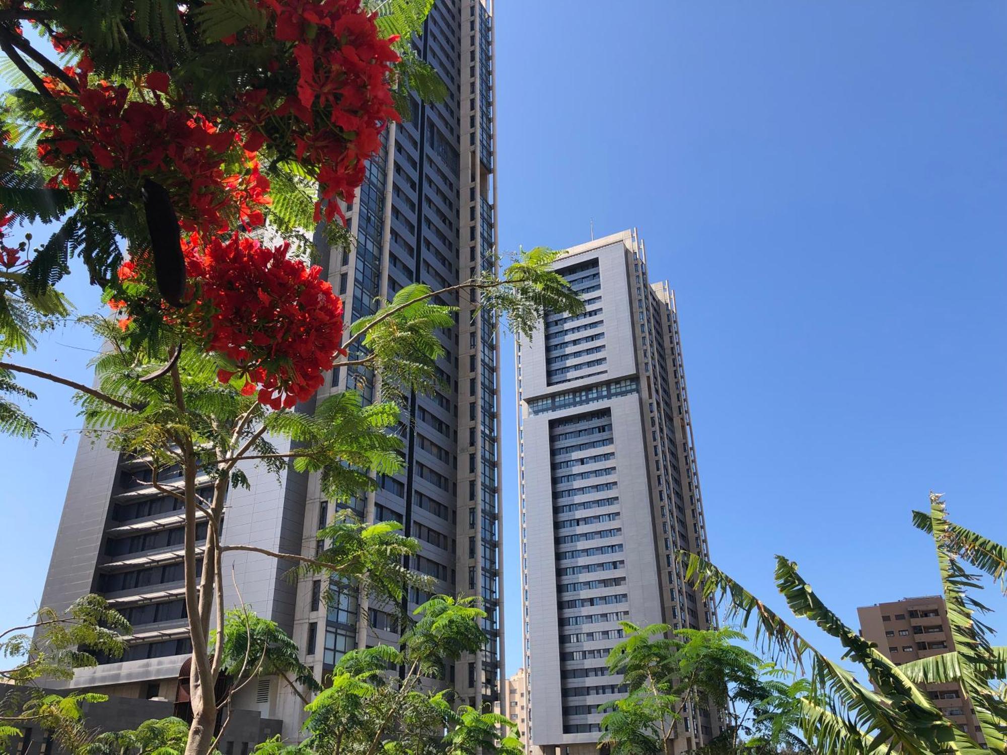 Home2Book El Encanto De La Torre I 산타크루스데 테네리페 외부 사진